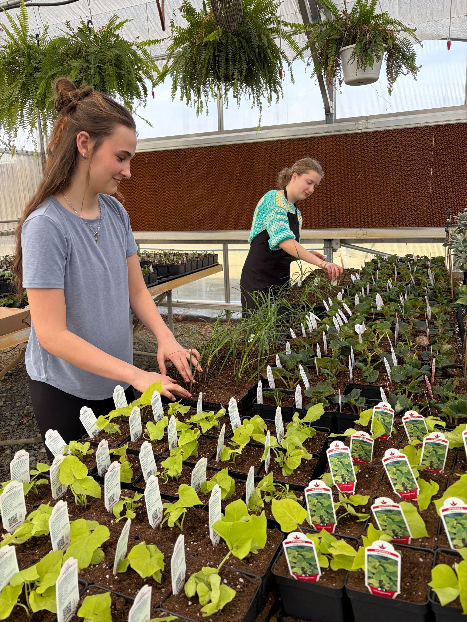 Horticulture program activities