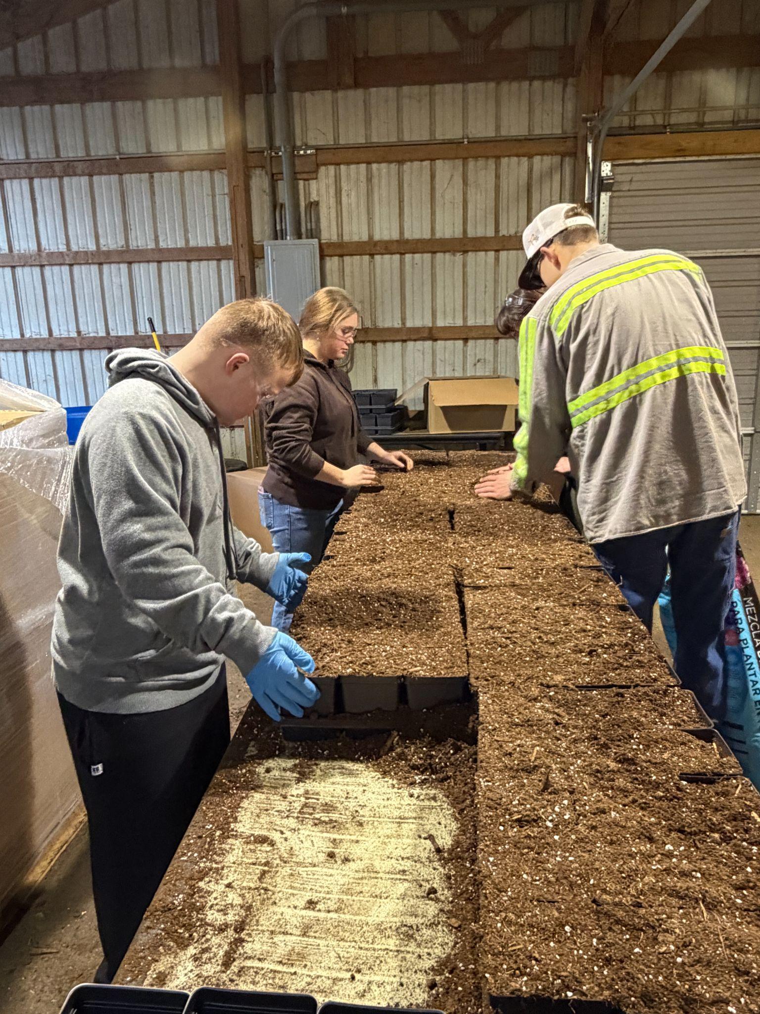 Students filling soil trays for planting