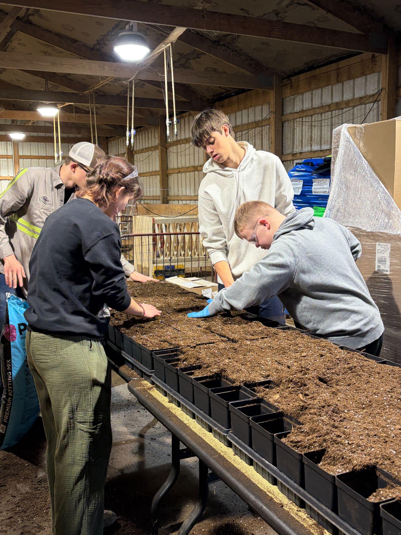 Greenhouse horticulture work