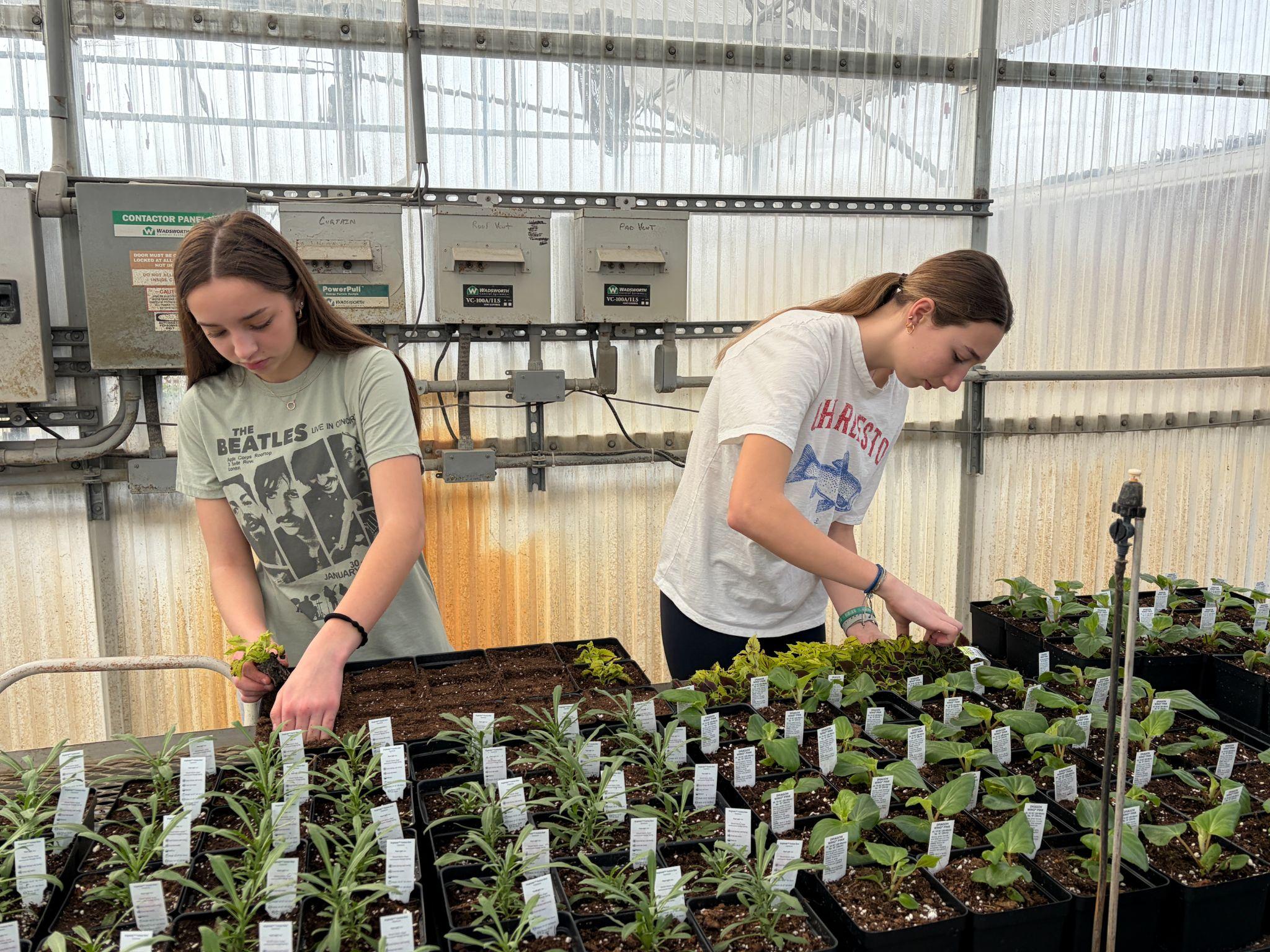 Students in the horticulture program